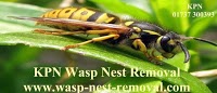 Wasp Nest Removal Bromley 371492 Image 1